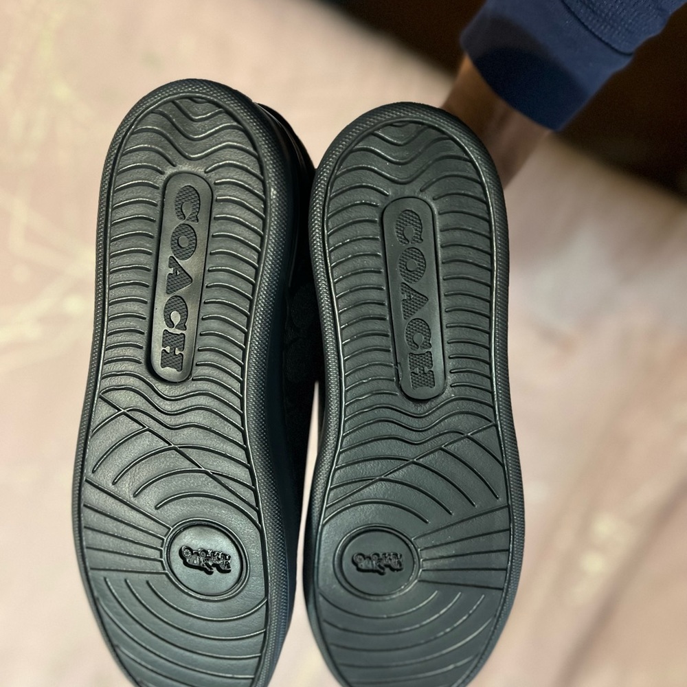 Brand new coach low top